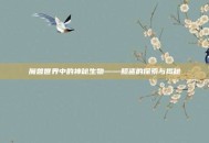魔兽世界中的神秘生物——鲸鲨的探索与揭秘