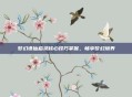 梦幻诛仙启灵核心技巧掌握，畅享梦幻境界