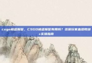 csgo被盗报警，CSGO被盗报警有用吗？资深玩家血泪教训+实操指南
