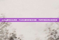 pubg黑号怎么举报，PUBG黑号举报全攻略，手把手教你净化游戏环境