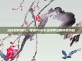 从历史到现代,探索PUBG战绩排名的演变历程