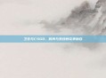 卫衣与CSGO，时尚与竞技的完美融合