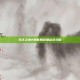 无主之地2刺客角色加点全攻略