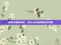 虚拟交流新天地，无心人论坛的探索与共鸣