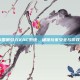 CSGO国服引入VAC系统，确保玩家安全与游戏公平性