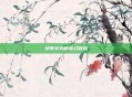绒布火鸡的奇幻冒险