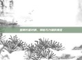 巫师长者衬肩,神秘与力量的象征
