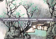 pubg黄金akm皮肤，PUBG黄金AKM皮肤，闪耀战场的稀有荣耀