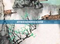 和平精英玩家遭遇网络连接问题