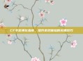CF手游美化指南，提升游戏体验的实用技巧