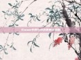 Steam令牌在境外使用全攻略