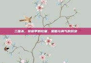 三国杀，穿藤甲的较量，策略与勇气的对决