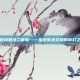 舞秋风亚特兰蒂斯——探索失落文明的奇幻之旅