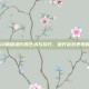 CSGO侧键操作的艺术与技巧，提升游戏表现的秘诀