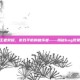 王者荣耀，游戏平衡的破坏者——揭秘bug现象