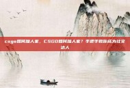 csgo如何加人家，CSGO如何加人家？手把手教你成为社交达人