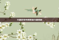 斗破苍穹中的职业力量揭秘