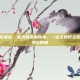 主教议会军需官，圣光背后的账本，一位主教议会军需官的战争与良知
