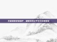 王者荣耀录像维护，确保游戏公平性与玩家体验