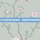 S5剑圣打野天赋指南，掌握游戏节奏的秘诀