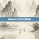 吸血鬼狂刀游戏攻略指南