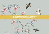 王者荣耀如何查看自己的等级？