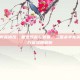 三国杀辛宪英修改，重塑预言与智囊，三国杀辛宪英技能修改方案深度解析