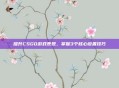 提升CSGO游戏表现，掌握3个核心设置技巧