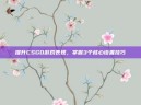 提升CSGO游戏表现，掌握3个核心设置技巧