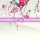 王者荣耀职业选手AG一诺，电竞场上的传奇英雄