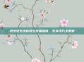 绝地求生地铁逃生终极指南,生存技巧全解析