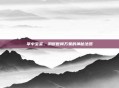 掌中宝鉴，洞察世间万象的神秘法器