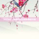 557kk，揭秘网络空间的神秘代码