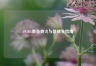 PUBG装备查询与管理全指南