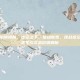 逆战虚空陷阱皮肤，虚空之下，猎场新章，逆战虚空陷阱皮肤美学与实战价值解析