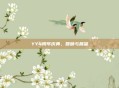 YY4周年庆典，回顾与展望