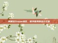阿根廷Steam地区,数字世界的活力之源