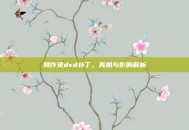 臭作免dvd补丁，真相与影响解析