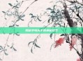 揭秘字母高手的神秘技艺