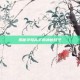 揭秘字母高手的神秘技艺