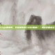买哈迪斯送csgo勋章吗，买哈迪斯送CSGO勋章？一场游戏圈虚空交易的狂欢