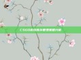 CSGO游戏库存管理策略分析