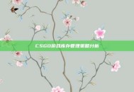 CSGO游戏库存管理策略分析