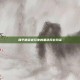和平精英老玩家的黑色风衣风采