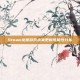 Steam龙崖游戏未来更新可能性分析