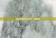 探索完美世界光之圣子，全面测评