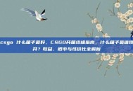 csgo 什么箱子最好，CSGO开箱终极指南，什么箱子最值得开？收益、概率与性价比全解析