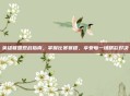 英雄联盟观战指南，掌握比赛赛程，享受每一场精彩对决