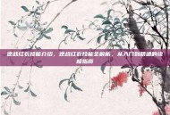 逆战红衣技能介绍，逆战红衣技能全解析，从入门到精通的终极指南