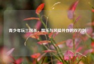 青少年玩三国杀，娱乐与风险并存的双刃剑